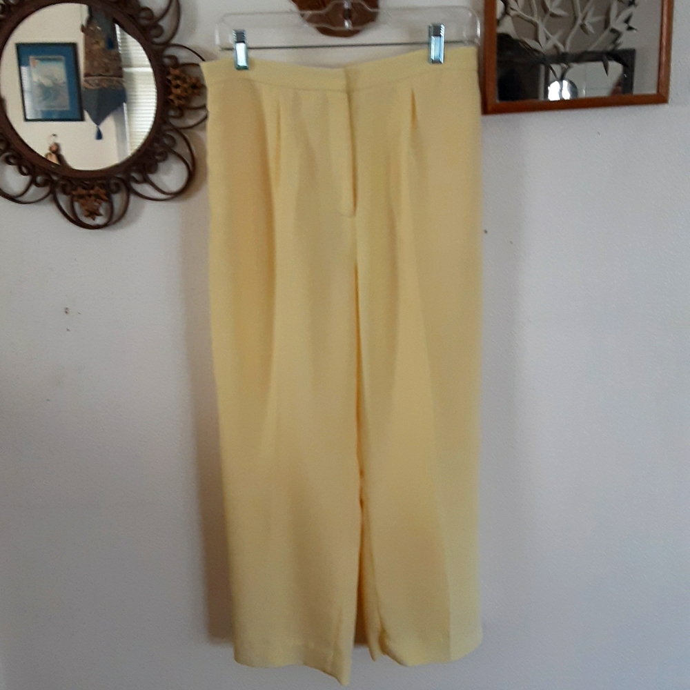 PETITE DRAPER'S & DAMON'S ZIP FRONT PANTS, 14P